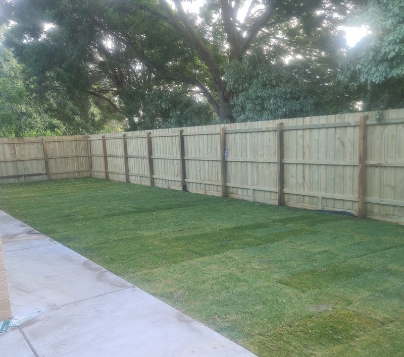 Freshly laid turf rolls along a new timber fence